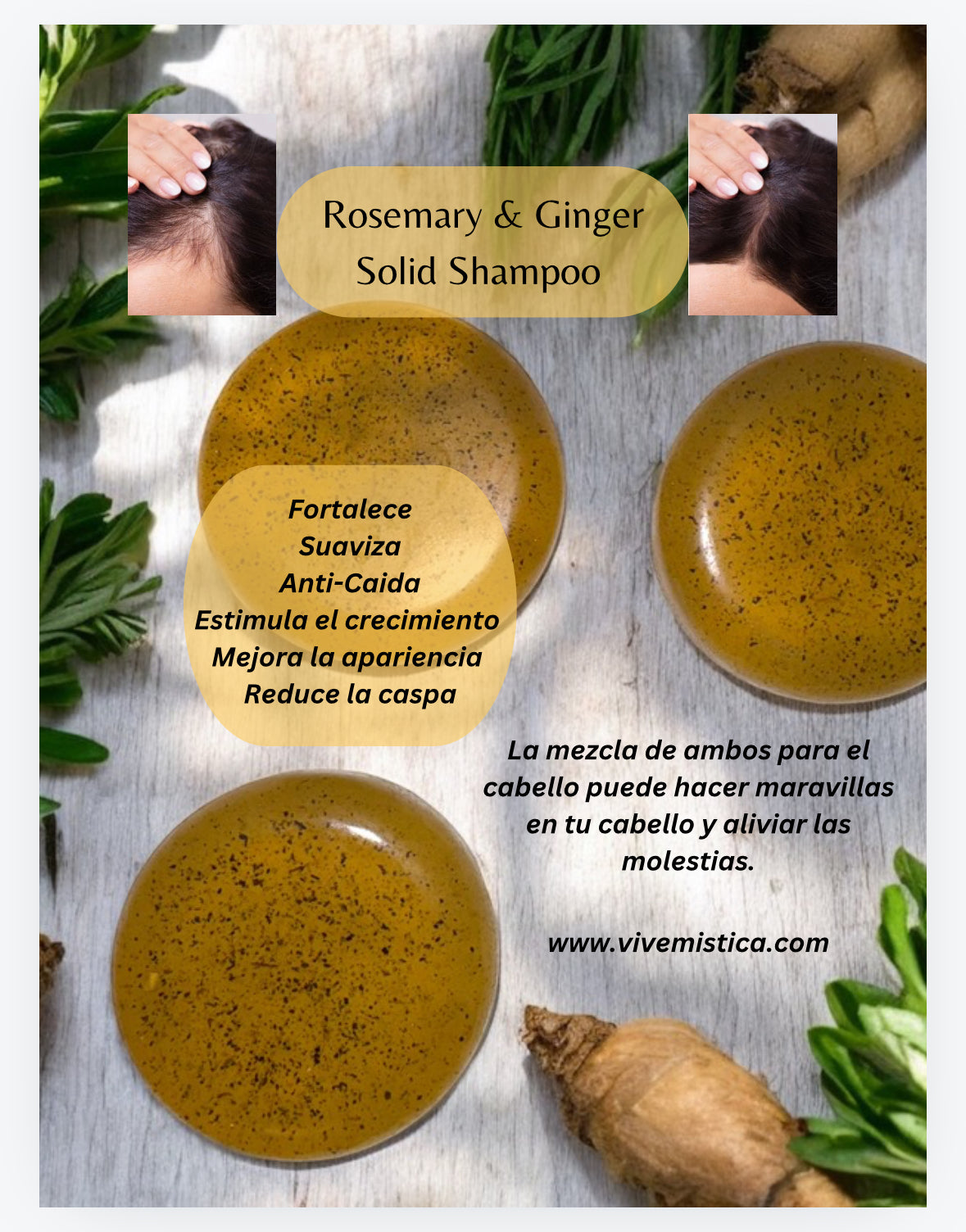 Rosemary and Ginger Solid Shampoo (Anti-caida y 
Crecimiento)